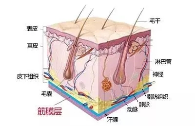 沒有誰能永遠(yuǎn)年輕，不老都是保養(yǎng)的早！