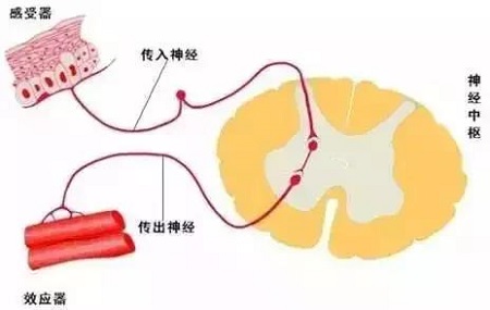 聞香識(shí)女人