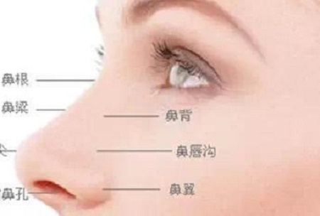 注射隆鼻和假體隆鼻哪種好