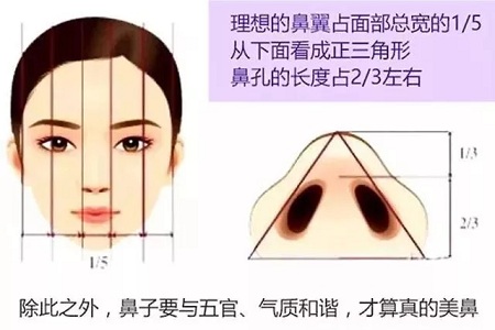 鼻子不是越高越好看！